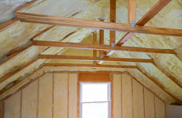 Best Eco-Friendly Insulation in Hayti, PA