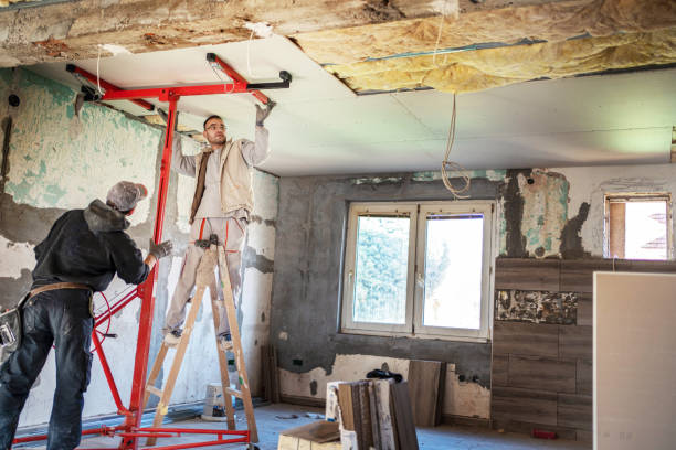 Best Cellulose Insulation in Hayti, PA