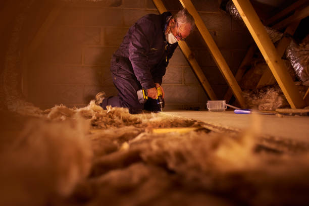 Best Specialized Insulation Services in Hayti, PA